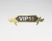 vip18.com