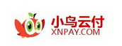 xnpay.com